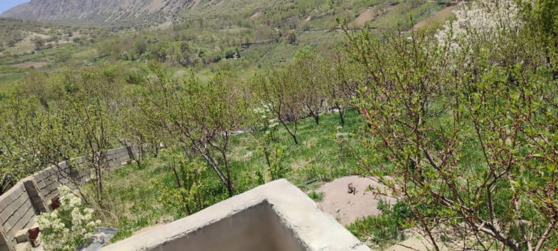 فروش باغ سیسخت