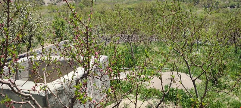 فروش باغ سیسخت